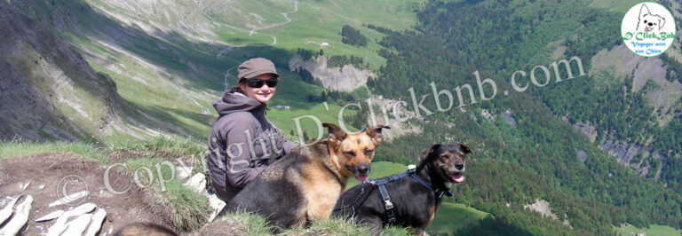 Randonner avec son Chien Découvrir la HauteSavoie D