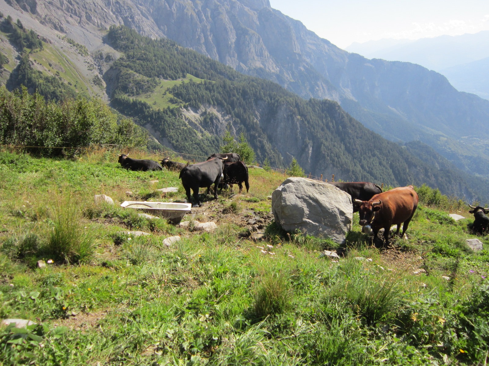 Col du Marchairuz